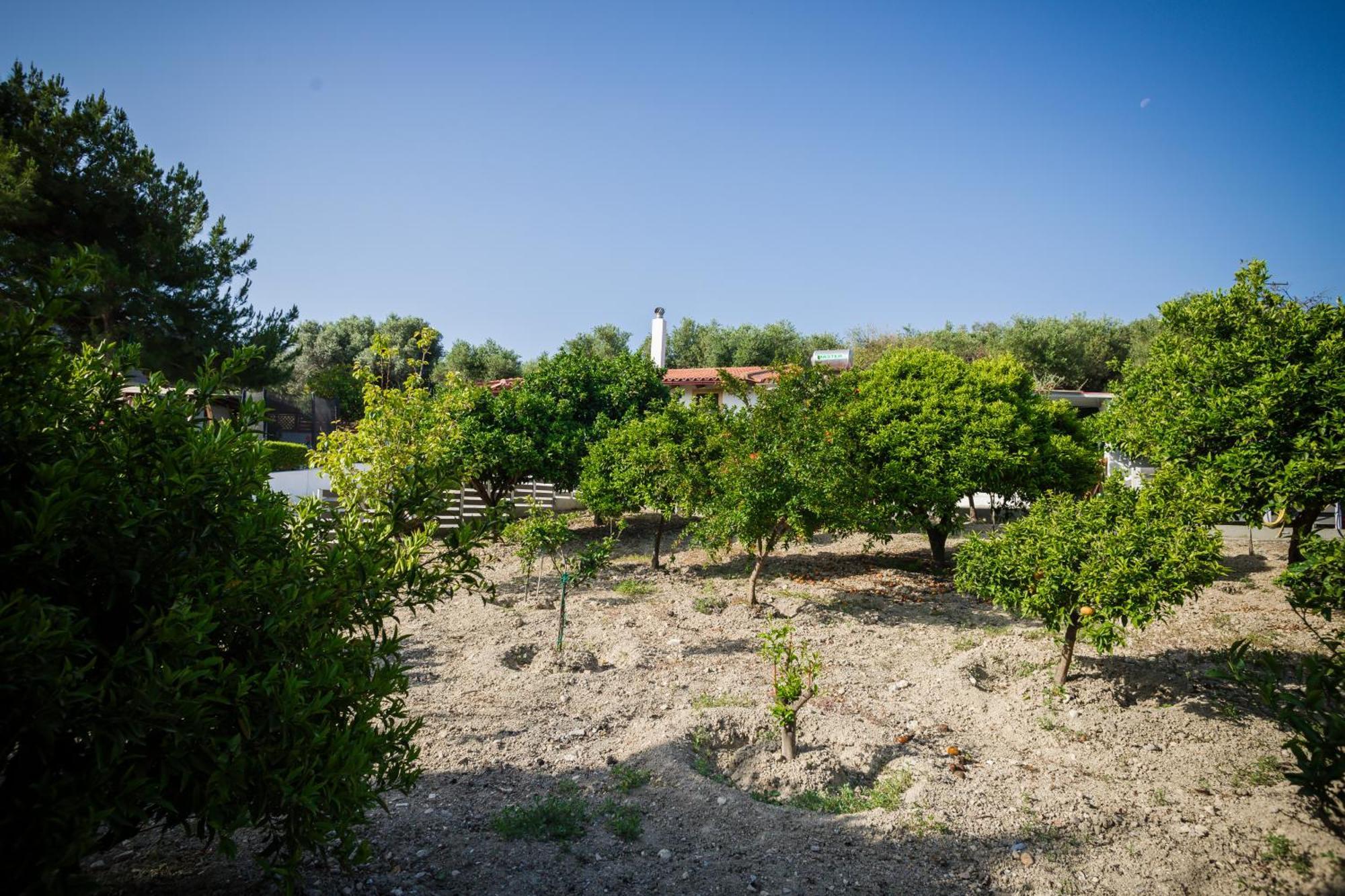 Villa Metochi Rethymno Exterior foto